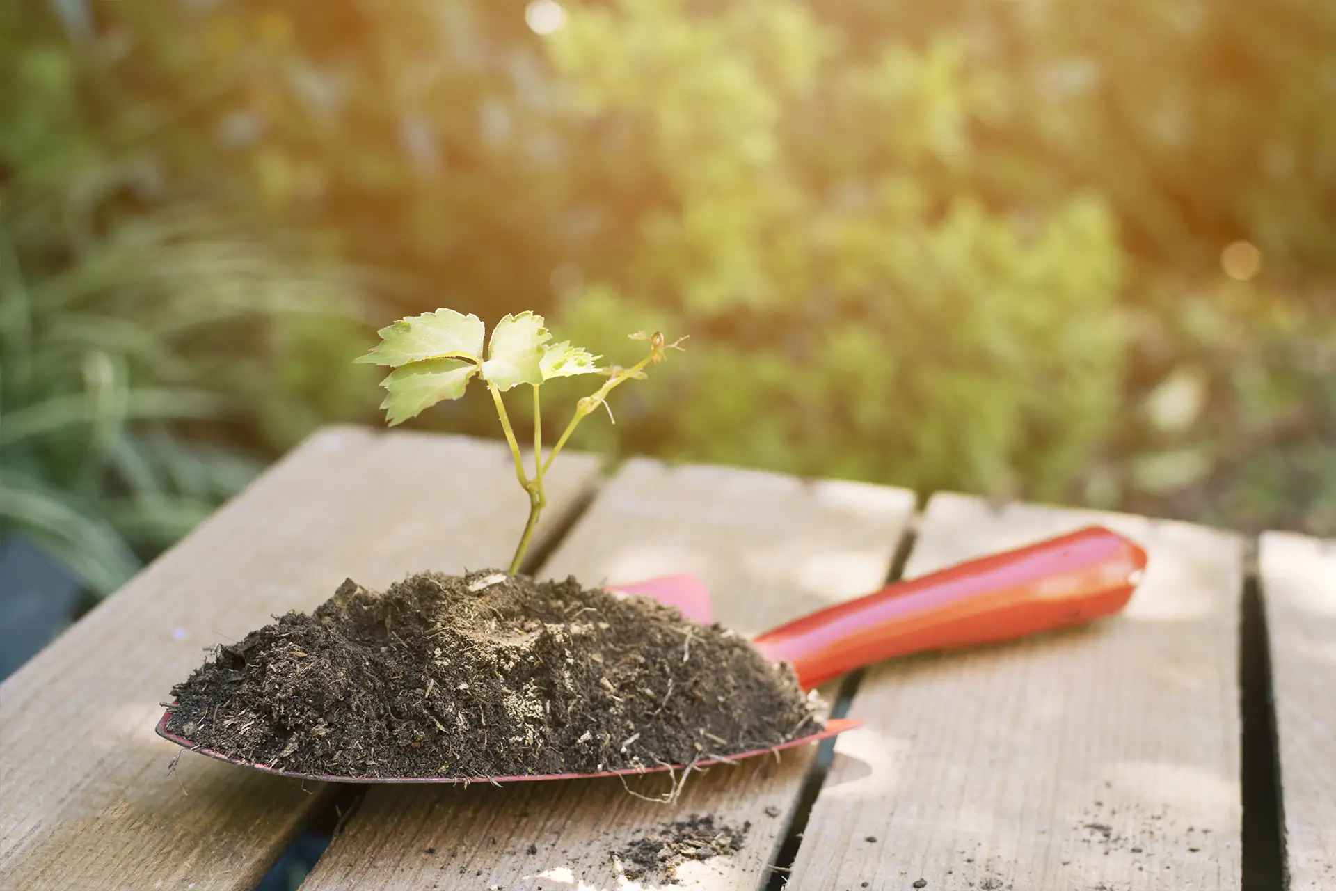 Hausmeisterservice Gartengestaltung und Bepflanzung für Objekte, Firmen und Privatpersonen